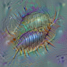 n01986214